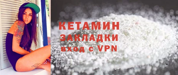 твердый Дмитровск