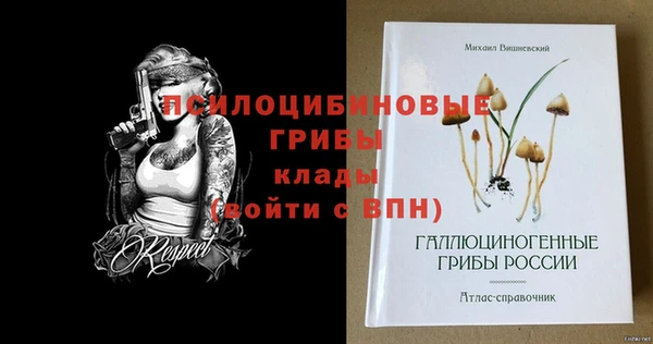 твердый Дмитровск