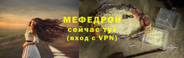 твердый Дмитровск