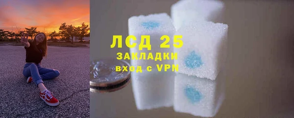 твердый Дмитровск