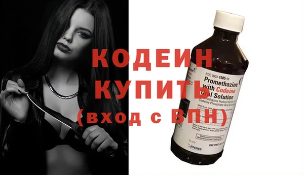 твердый Дмитровск