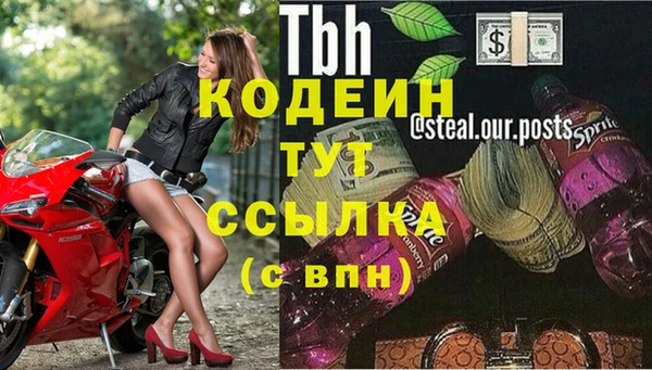 твердый Дмитровск