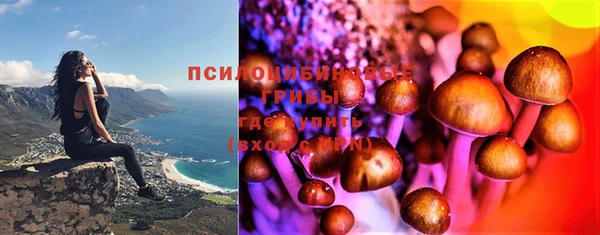 эйфоретик Дмитриев