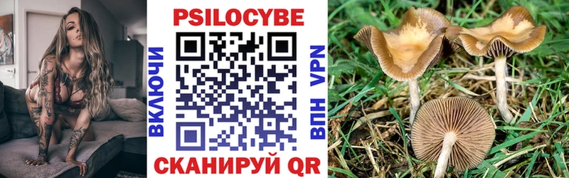 Купить где  Новоржев  Псилоцибиновые грибы прущие грибы 
